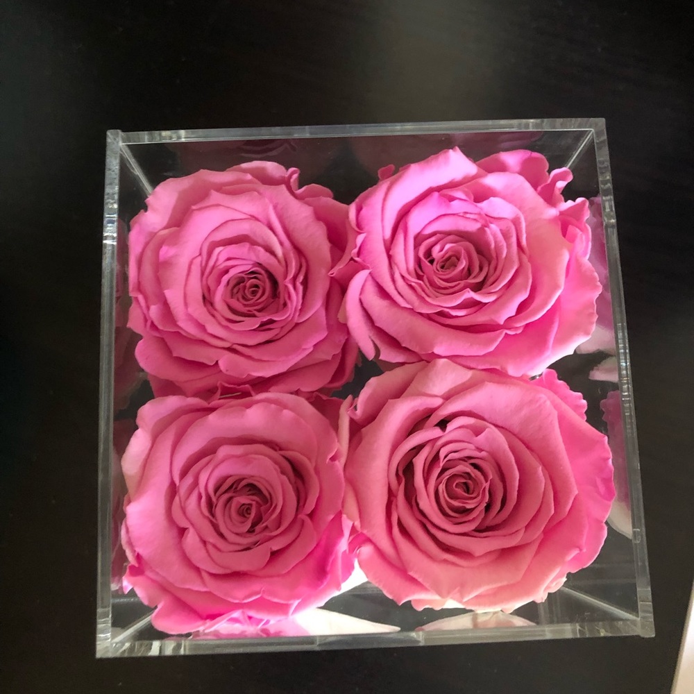 The Million Roses the Acrylic candy pink roses